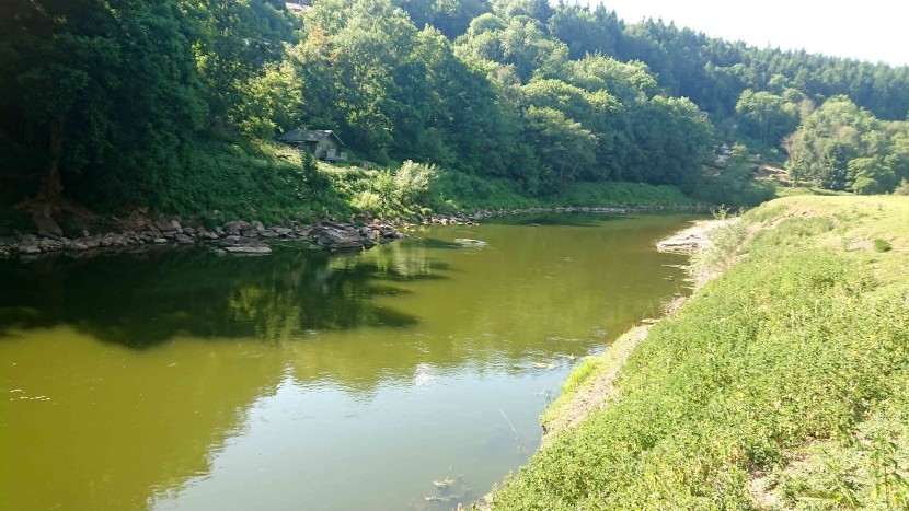 Look at the Wye at Redbrook now.